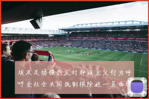 埃及足协强烈反对种族主义行为呼吁全社会共同抵制根除这一负面现象